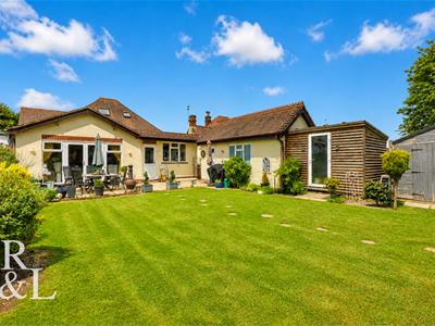 Picture 12
